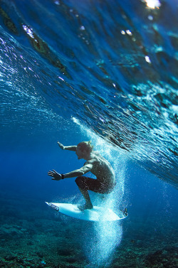 surfing-in-harmony:  ✌