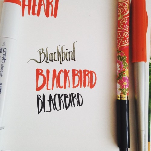 #blacbird practice. — #calligraphy #typography #calligraffiti #calligritype #typographyinspired #typ