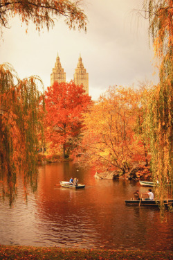 italian-luxury:  The Leaves Falling, Central Par, NY