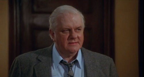 V.I. Warshawski (1991) - Charles Durning as Lt. Mallory After being briefly distracted by Mr. Durnin