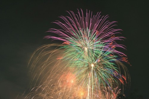 【４９４】御初なる 花火は多摩の 河川にて 夜空に咲きし 花を摘みたり