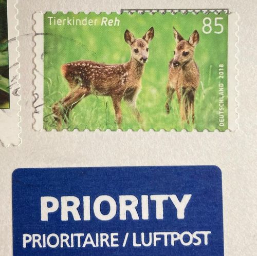 #German #stamps from the @postcrossing Project! #snailmail #Germany #Deutschland #deer #bee  https:/