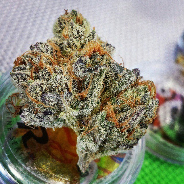 weedporndaily:  Angel Cake by @lrg_tree