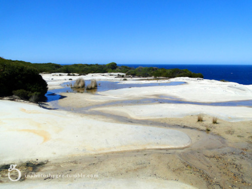 inphotosbygee:  on the way to Marley Beach in Royal National Park near Sydney, Sep 2014