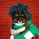 cat-cosplay:  The introduction of the new WWE Fuzzy Weight Division just might get