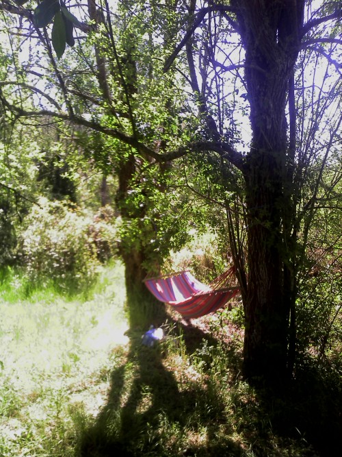 cosmofilius:all i truly need in life: a tipi in the midst of the trees and a hammock in the sunshine