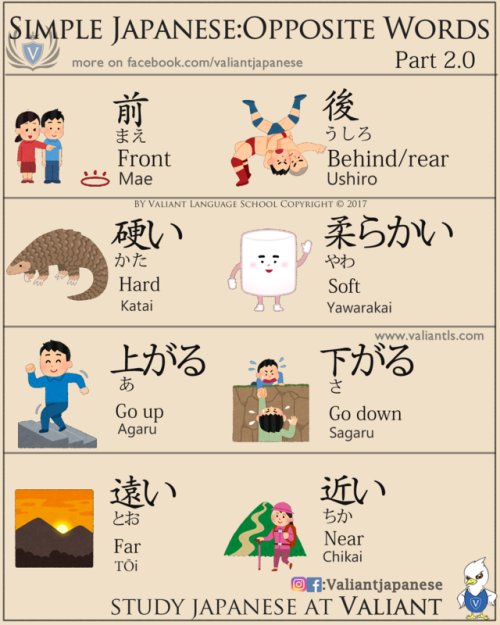valiantschool: The Opposite Words in Japanese Follow us on www.instagram.com/valiantjapanese