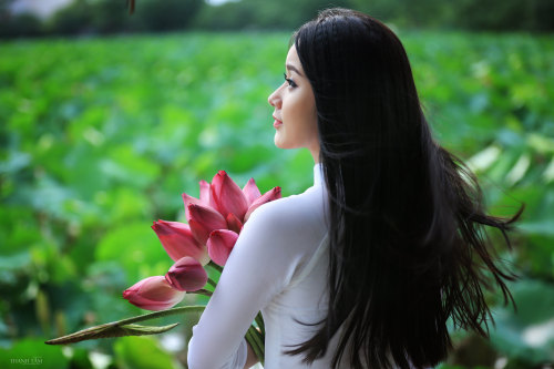  Vietnamese long dress (Ao dai) bởi Beauty Collection Qua Flickr: Photo backup 