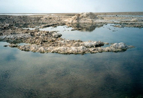 Salar de Atacama, cerca de San Pedro de Atacama, II Región de Antofagasta, Chile, 2000.At 2300 meter