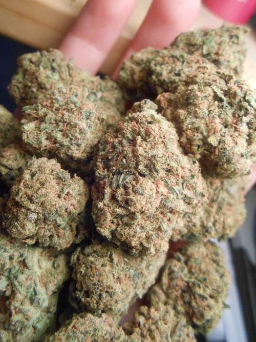 pass it this way