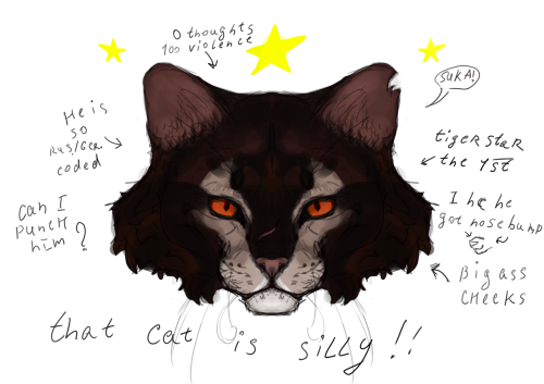 Tigerstar The First!! I Always Thought About Him Being Either Russian Or German I Think, Not To Be Stereotypical