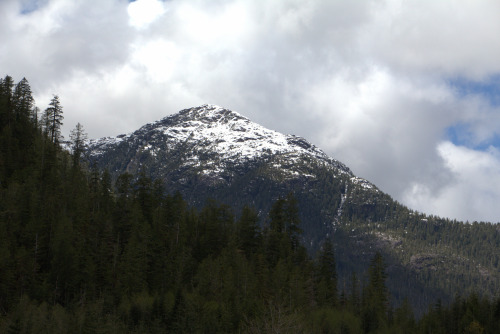 Unnamed Peak by Walter Moar