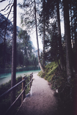 elenamorelli:  { just another lonely path }