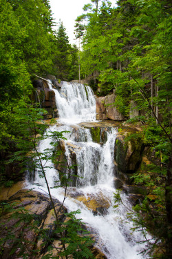 goldfarts:waterfall