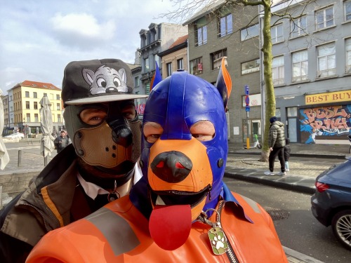 Puppy Walk At Darklands With @PupRufusAD