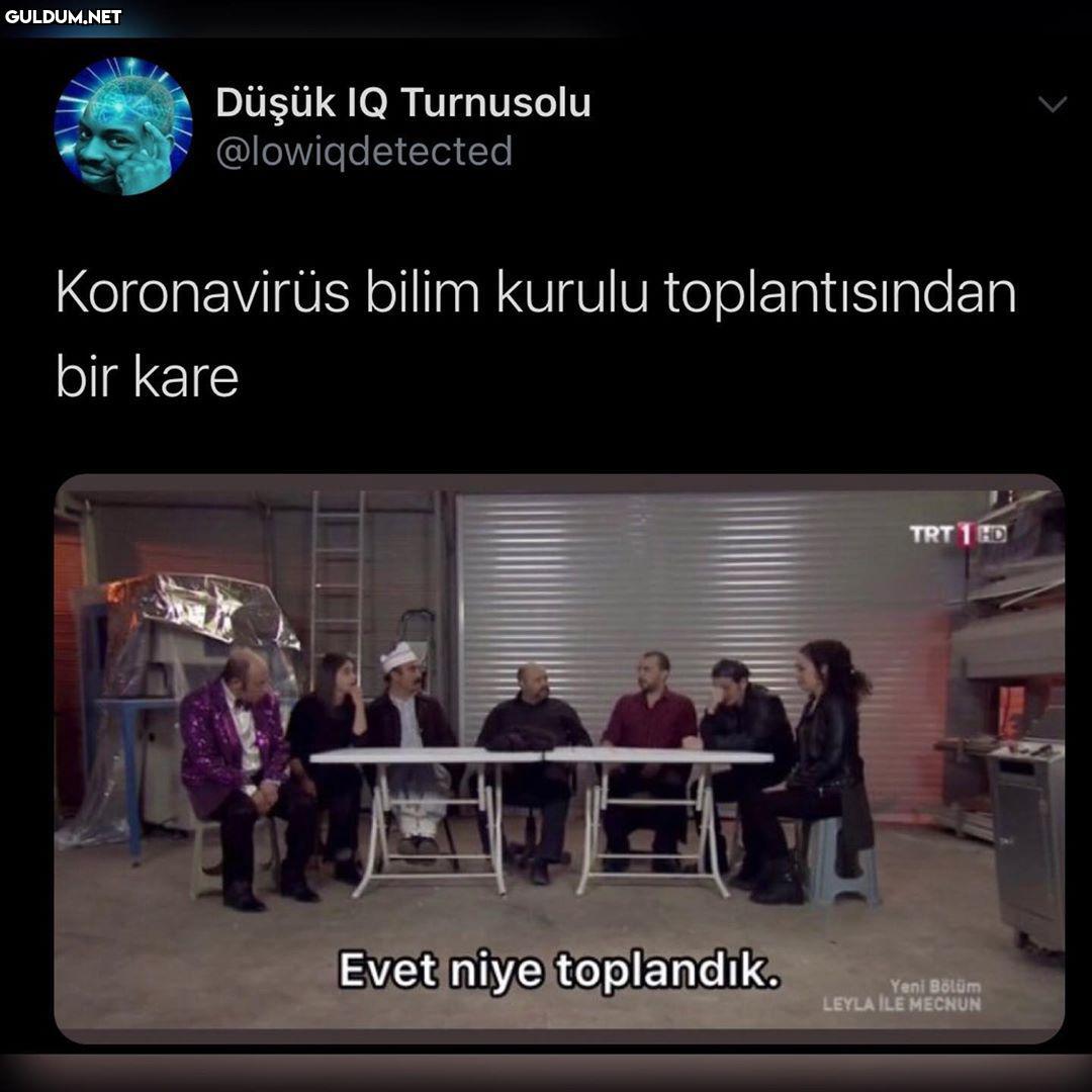 Düşük IQ Turnusolu...