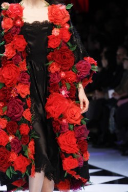 themakeupbrush: Dolce & Gabbana Fall