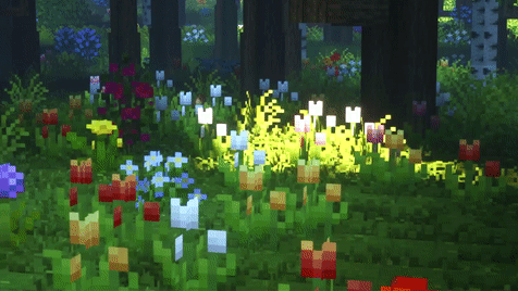 mysticgroves: flower field 🌼