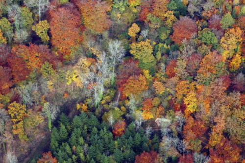 nubbsgalore:  autumnal aerials by jerry monkman, david oppenheimer, denis carl robidoux and matt cardy 