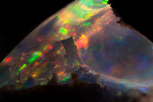 Opal. Mexico.Width of field = 4.8mm