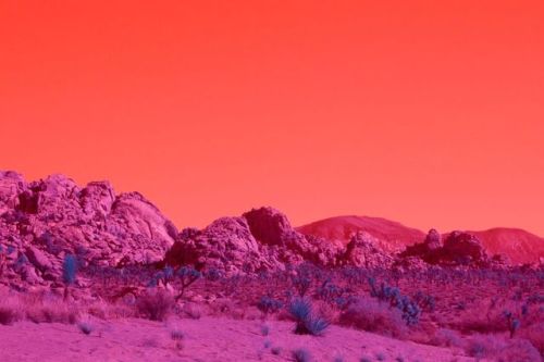 landscape-photo-graphy: Surreal Infrared Landscapes by Kate Ballis Keep reading 