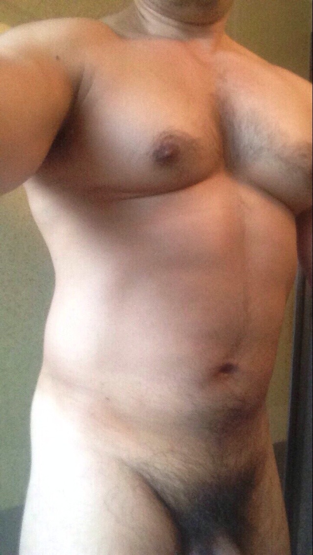 Asia bear