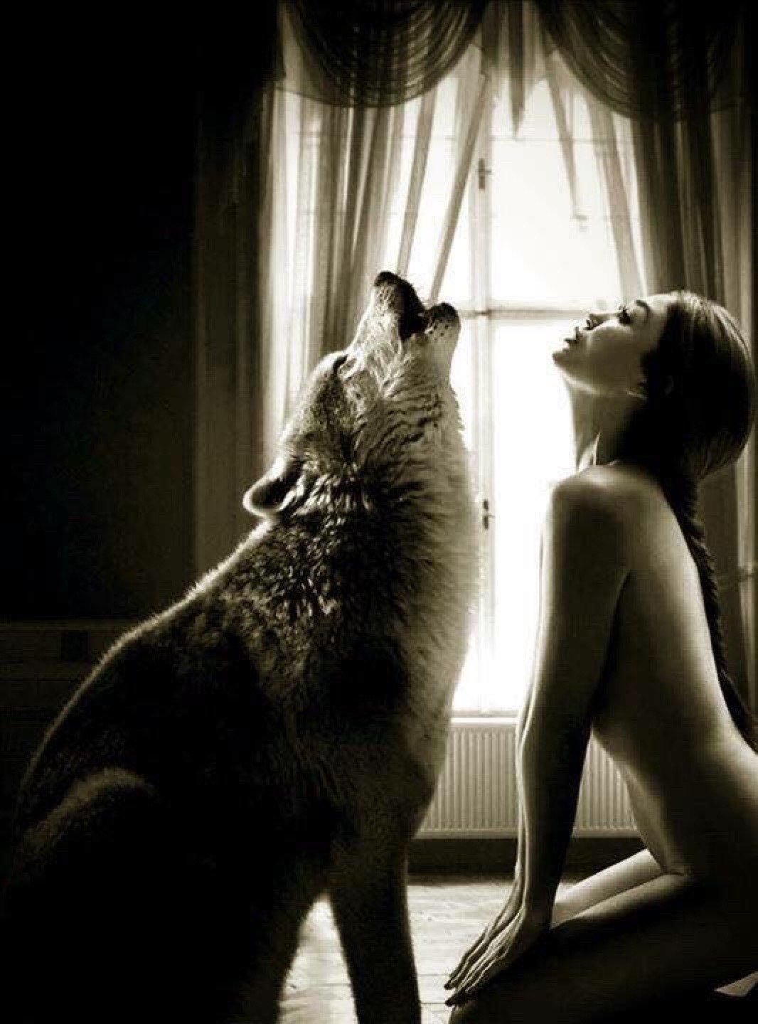Dogs of war