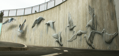 itscolossal: Ethereal Bird Murals on the Streets of Riccione by ‘Eron’