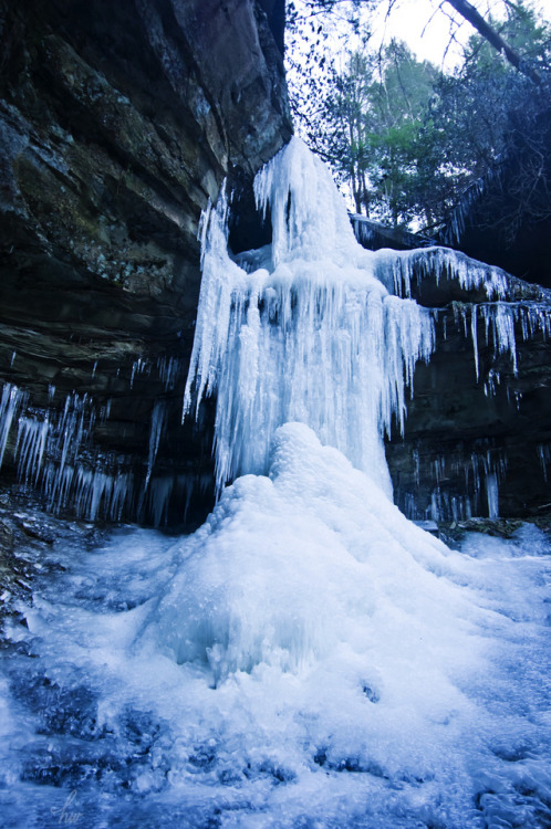frolicingintheforest: Frozen solid!   Help me save this wilderness!Learn more about this forest, and