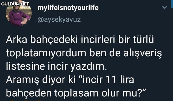 Keşke bahçemde incir olsa...