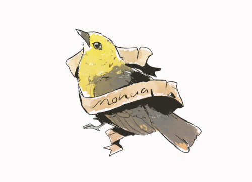piwakawaka/fantail and mohua! i wanted to draw more birds for nz bird of the year but too much other