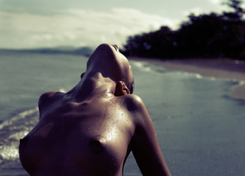 crystaloflove: ph. Jaramay Aref×