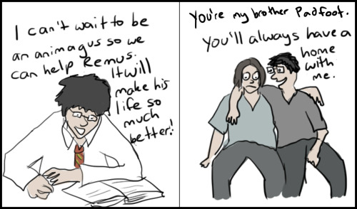 jamespotterwearsglasses:A study into fandom hate of James Potter.