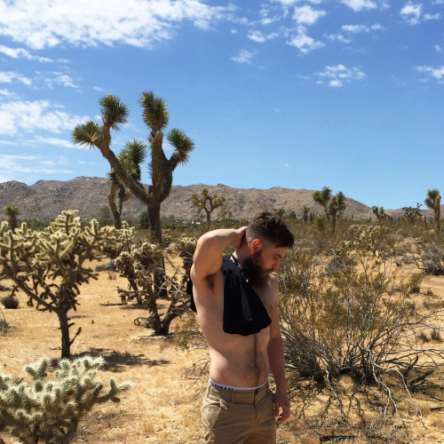 iseetheblood:  Joshua Tree this weekend