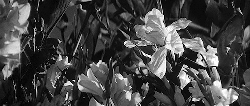classicfilmblr:–High and Low (1963) dir. Akira Kurosawa
