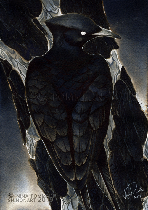 shinonart:  Old Gods: Day 28 - Black Woodpecker