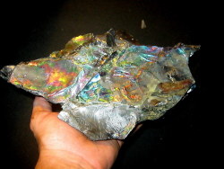 mineralists:  Peacock Coal (Rainbow Anthracite) from McAdoo, Pennsylvania