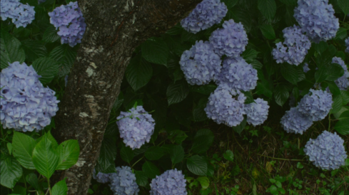 clover-and-cream:Little Forest Summer/Autumn (2014) - Jun’ichi Mori, part 1