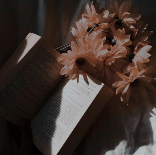 ESME CULLEN, BRIDGERTON AU