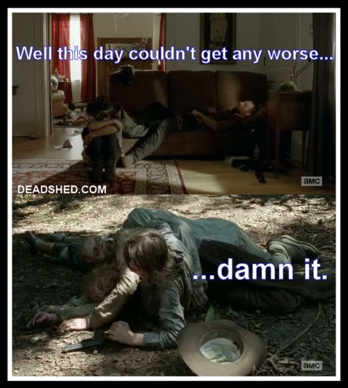 Fuck Yeah Walking Dead Memes