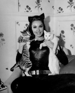 retrogirly:  Julie Newmar