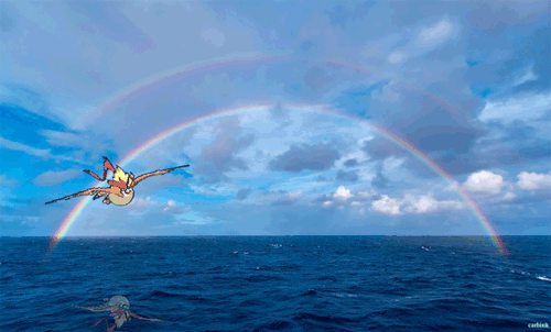 carbink:Mega Pidgeot (x)