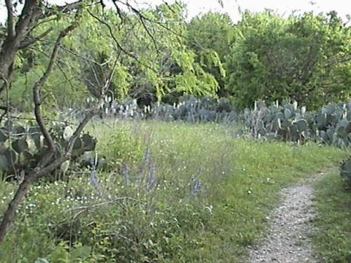 Comanche Bluff Trail, Austin, Texas