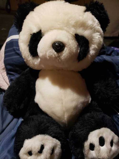 lalalalooooove: This is my panda named Dante! He helped me feel better today when I was sick, so he 