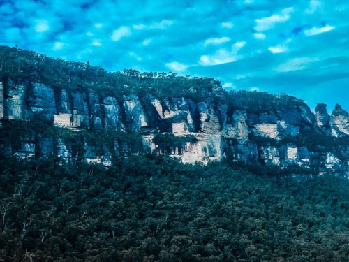 just-taking-photos:Blue Mountains National Park, Katoomba, NSW, Australia.