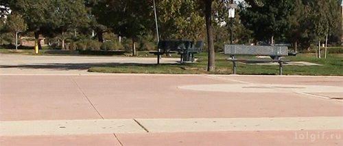gifaknet:(Video: Amazing Dog Skateboards Like a Human)