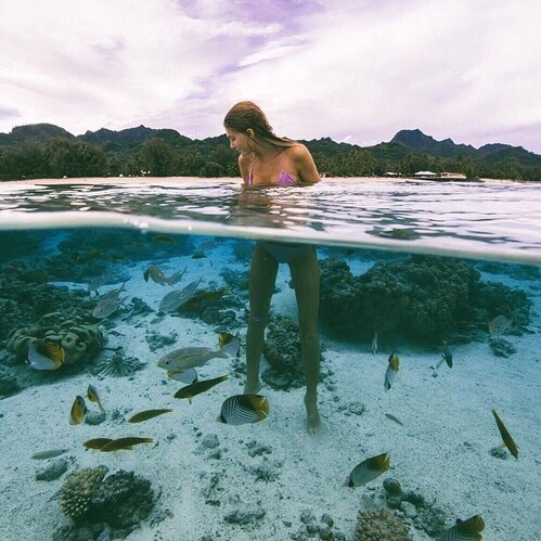 apodyoopsis:  skintouchedbysun: (via Images and videos of tropical)  Tropical Bliss 