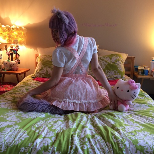 miniature-minx: I like to play dress up with my stuffies