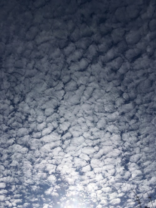 The clouds look amazing today☁️☺️