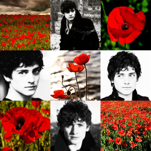 gakuenkaoru:Mordred Aesthetic [insp.] (Arthurian Legend)@adanwen‘s and my fancast for Mordred is Ane